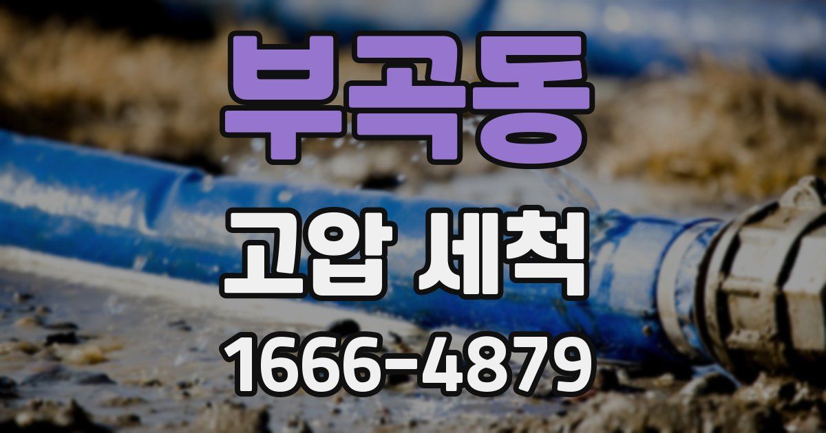 부곡동 고압 세척
