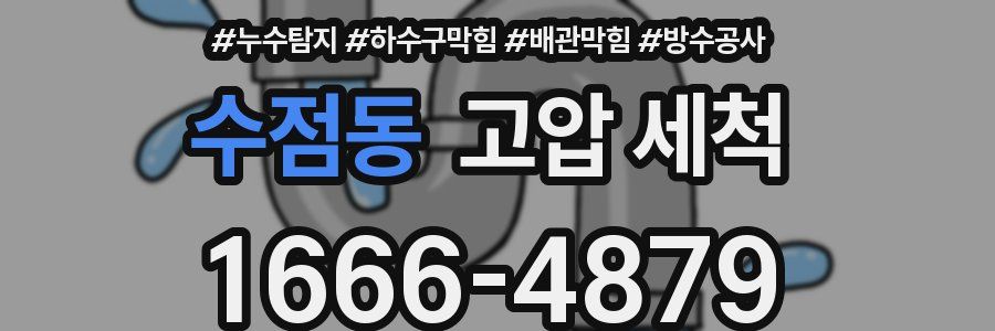 수점동 고압 세척