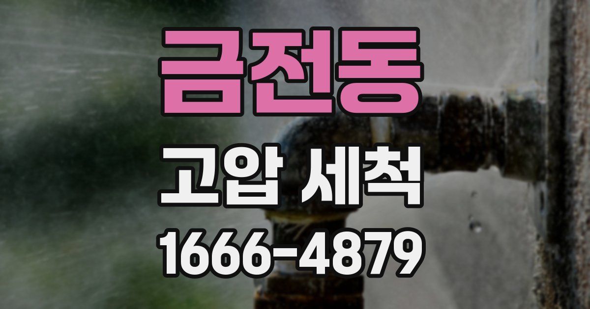 금전동 고압 세척