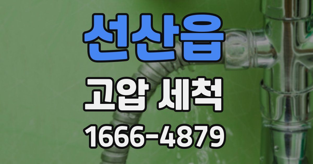 선산읍 고압 세척