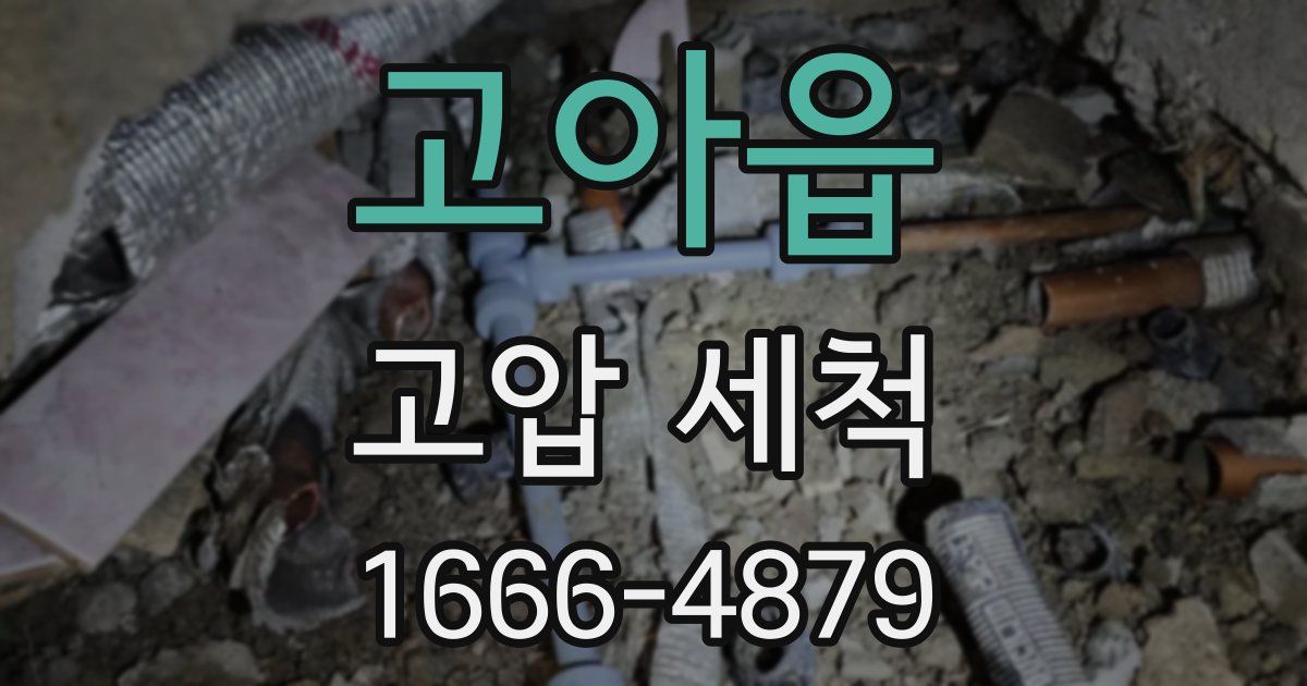 고아읍 고압 세척