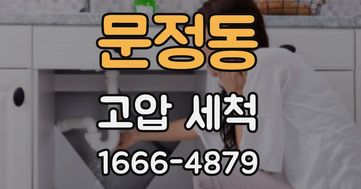 문정동 고압 세척