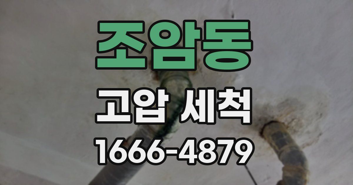 조암동 고압 세척