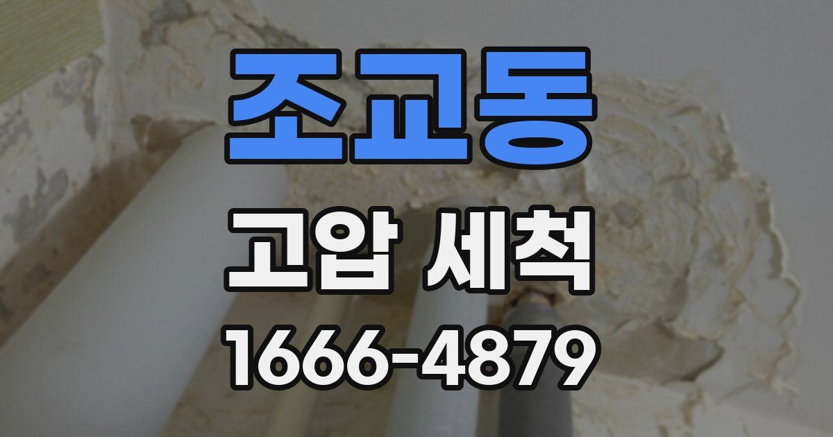 조교동 고압 세척