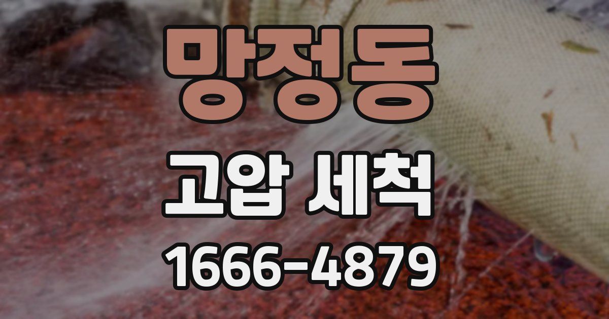 망정동 고압 세척