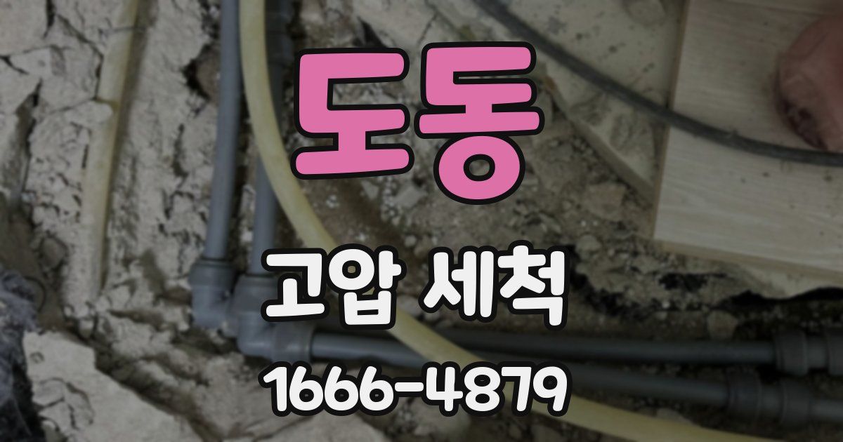 도동 고압 세척