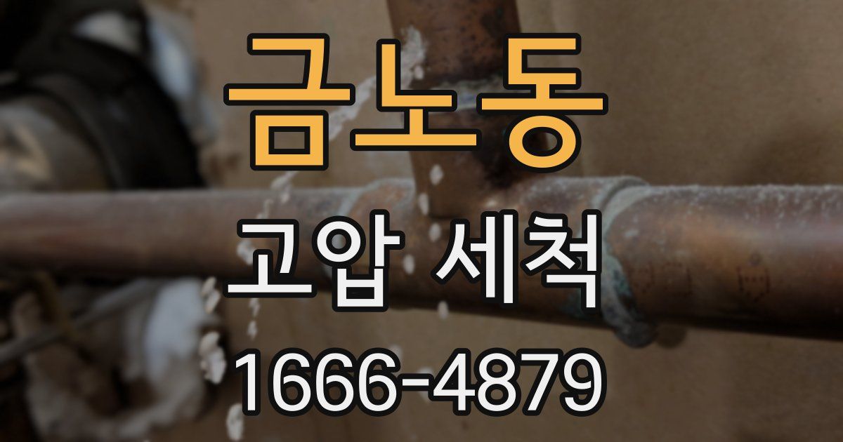 금노동 고압 세척