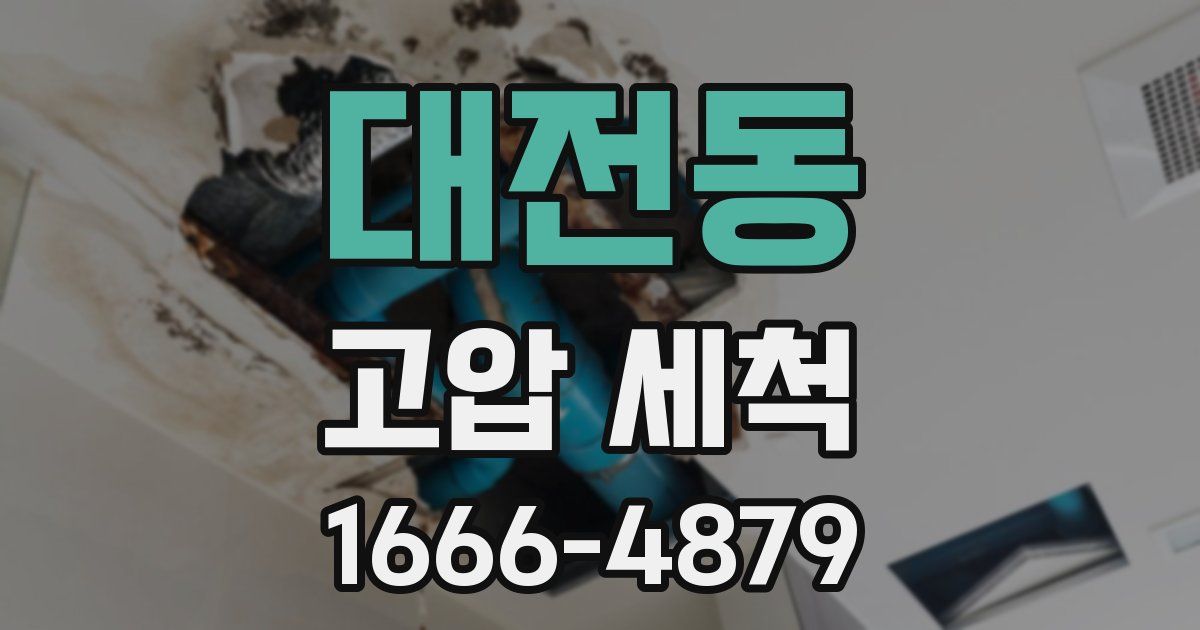 대전동 고압 세척