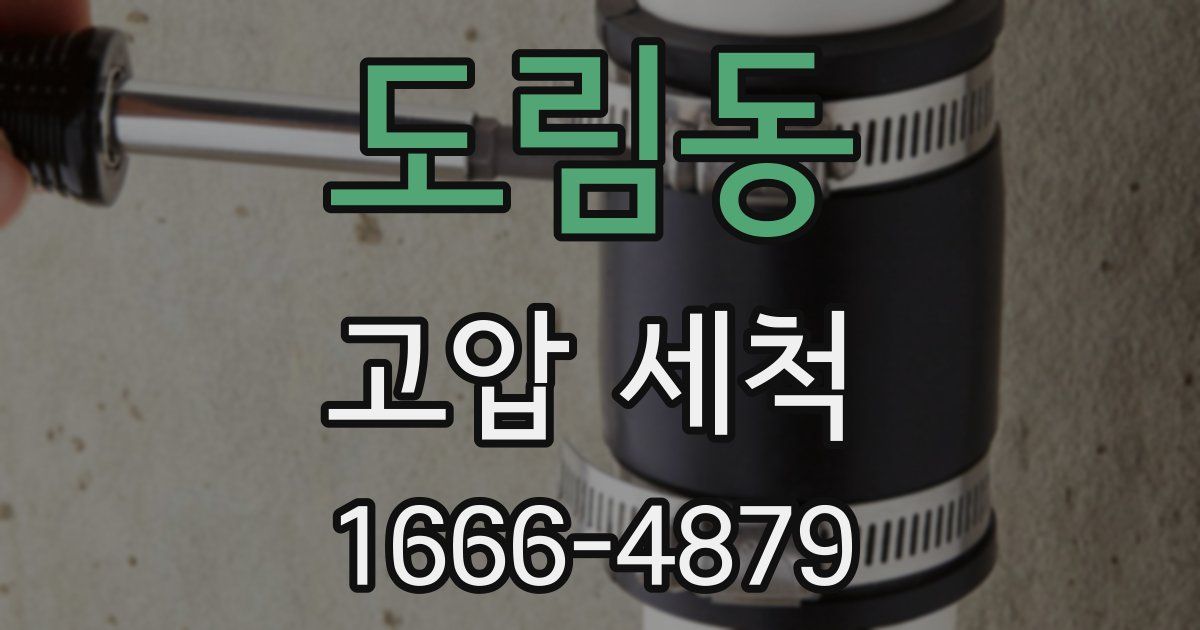 도림동 고압 세척