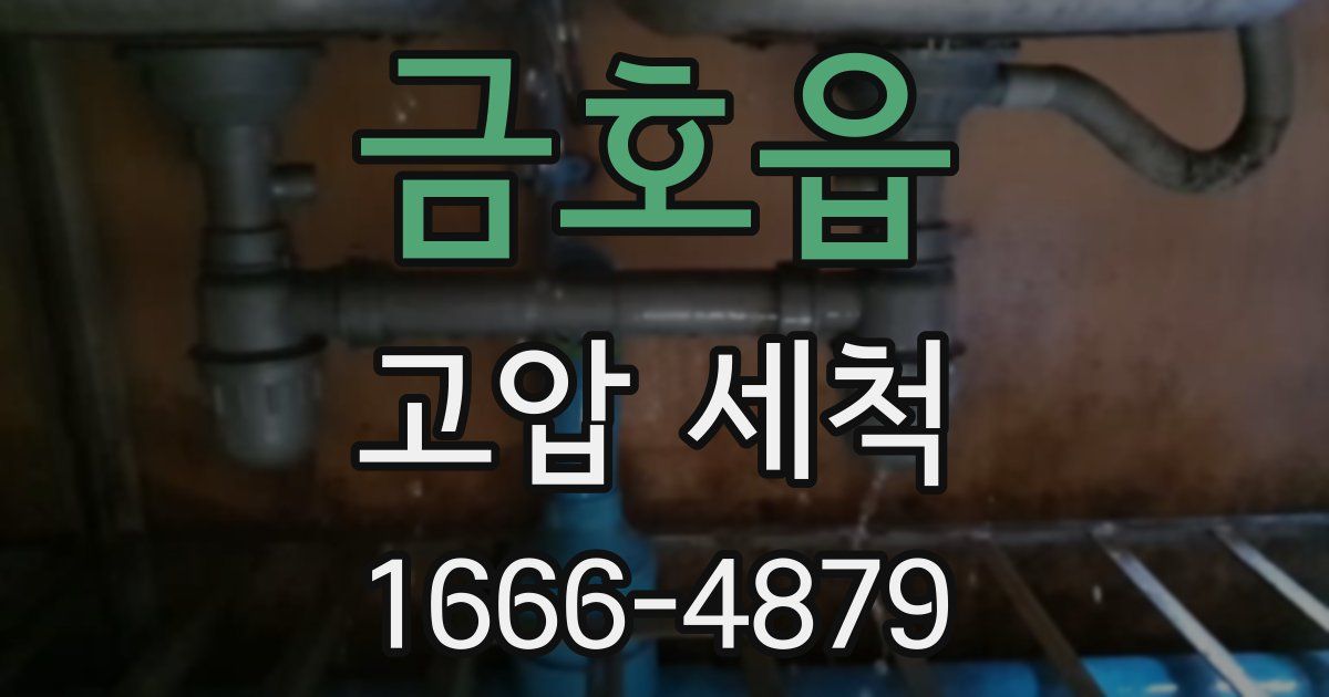 금호읍 고압 세척
