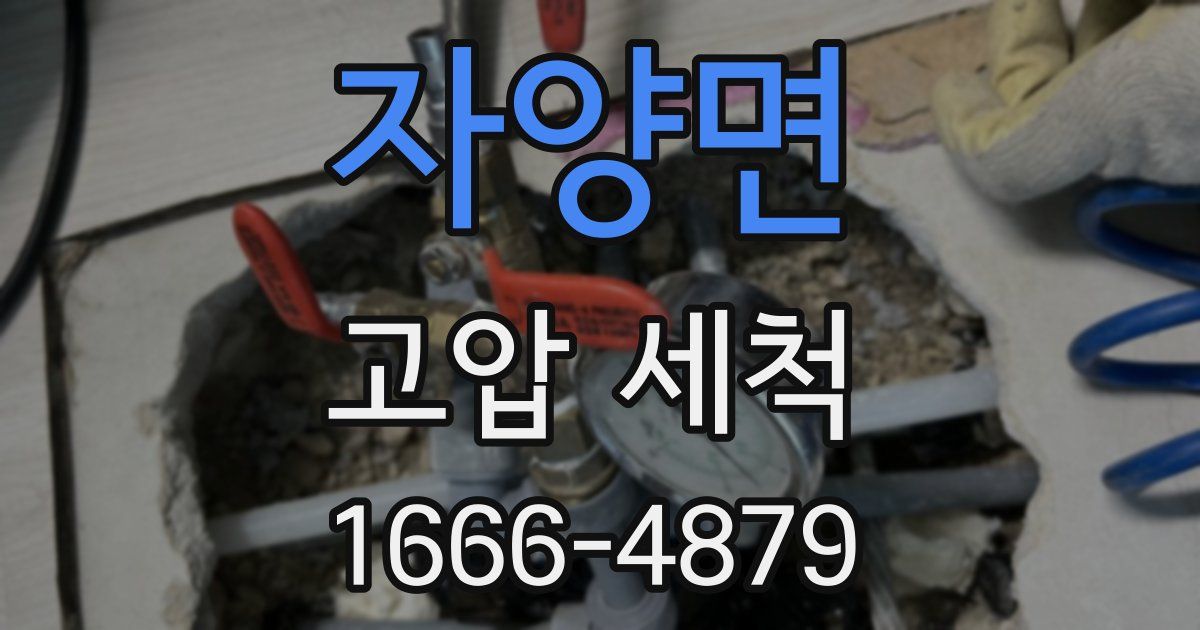 자양면 고압 세척