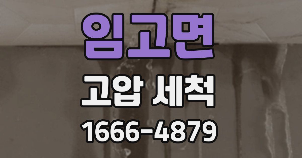 임고면 고압 세척
