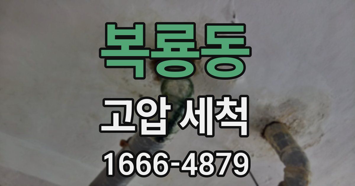 복룡동 고압 세척