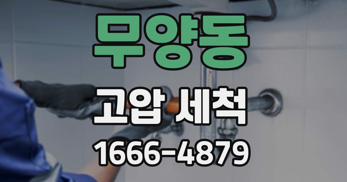 무양동 고압 세척