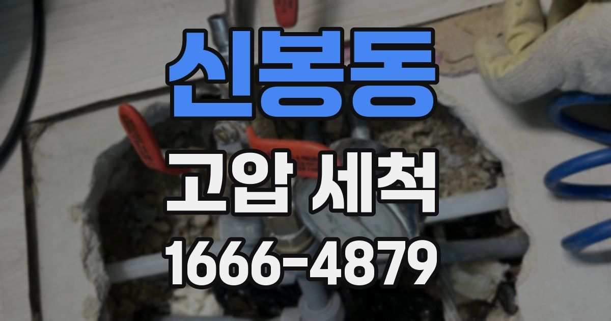 신봉동 고압 세척
