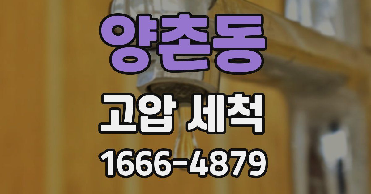 양촌동 고압 세척
