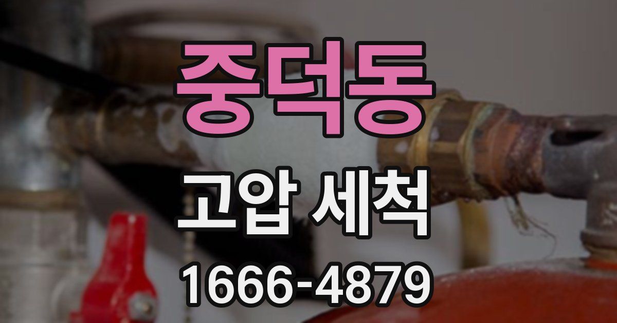 중덕동 고압 세척