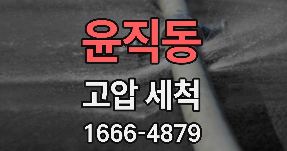 윤직동 고압 세척