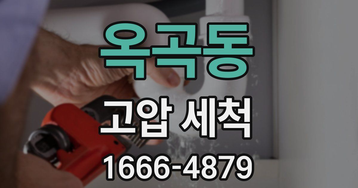 옥곡동 고압 세척