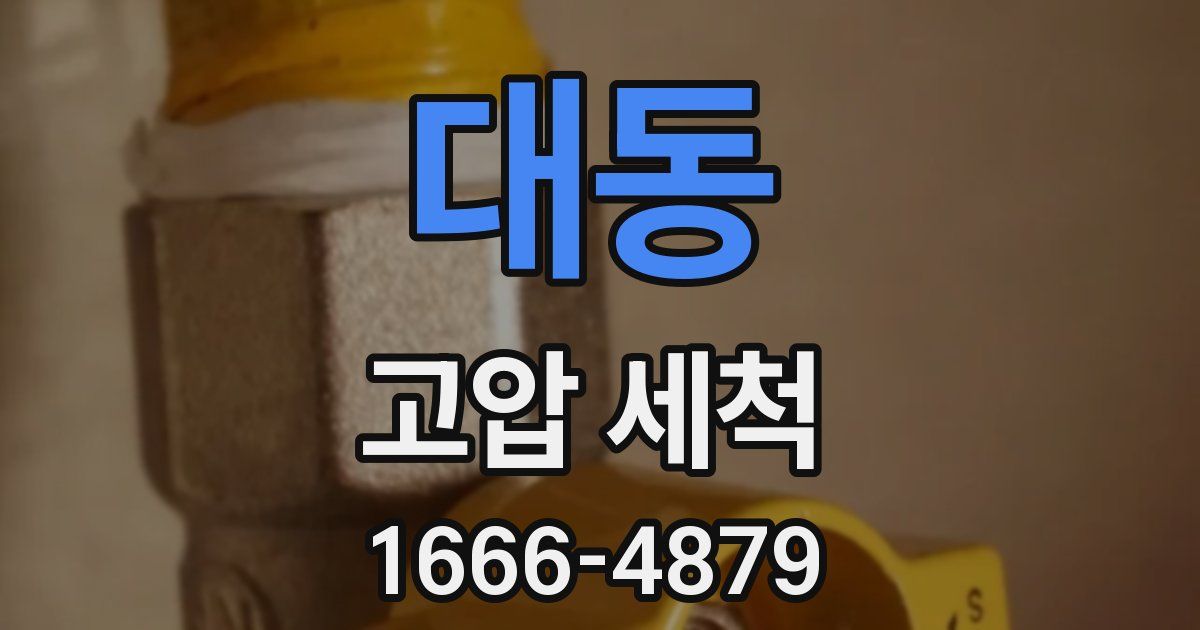 대동 고압 세척