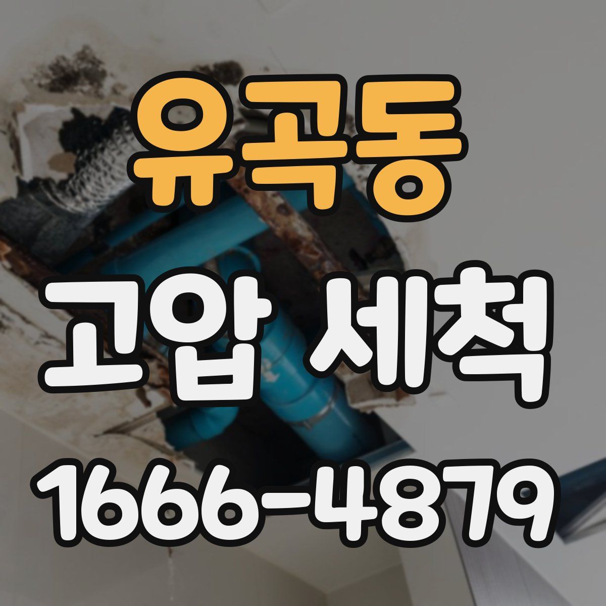 유곡동 고압 세척