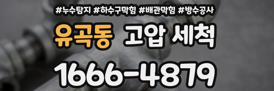유곡동 고압 세척