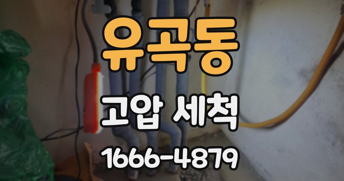 유곡동 고압 세척