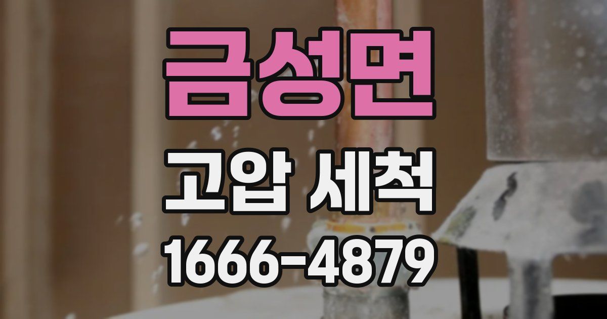 금성면 고압 세척
