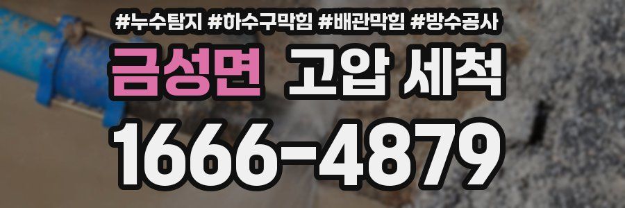 금성면 고압 세척
