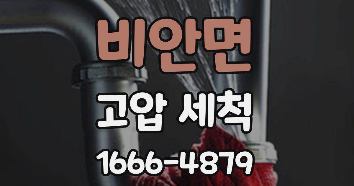 비안면 고압 세척
