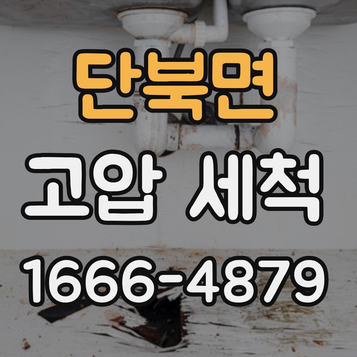 단북면 고압 세척