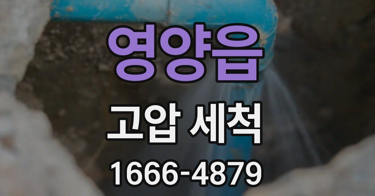 영양읍 고압 세척