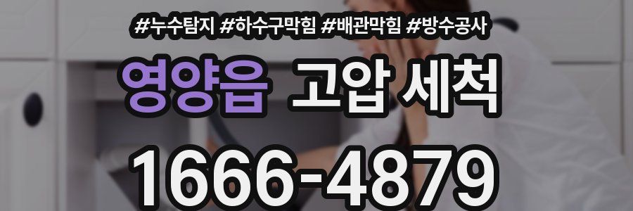 영양읍 고압 세척