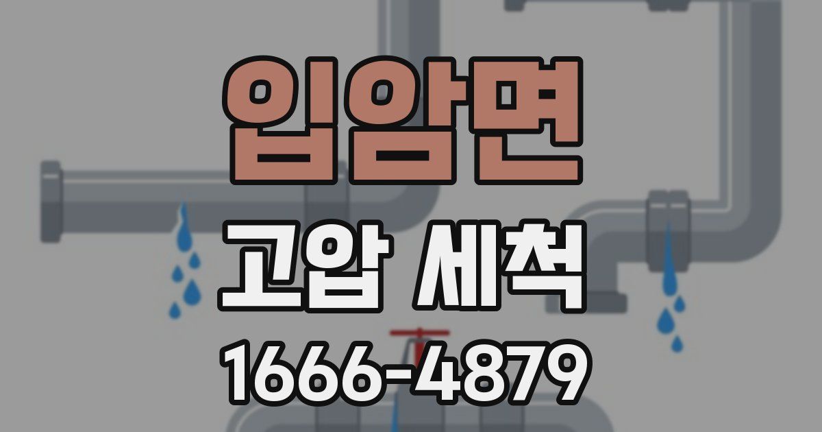 입암면 고압 세척