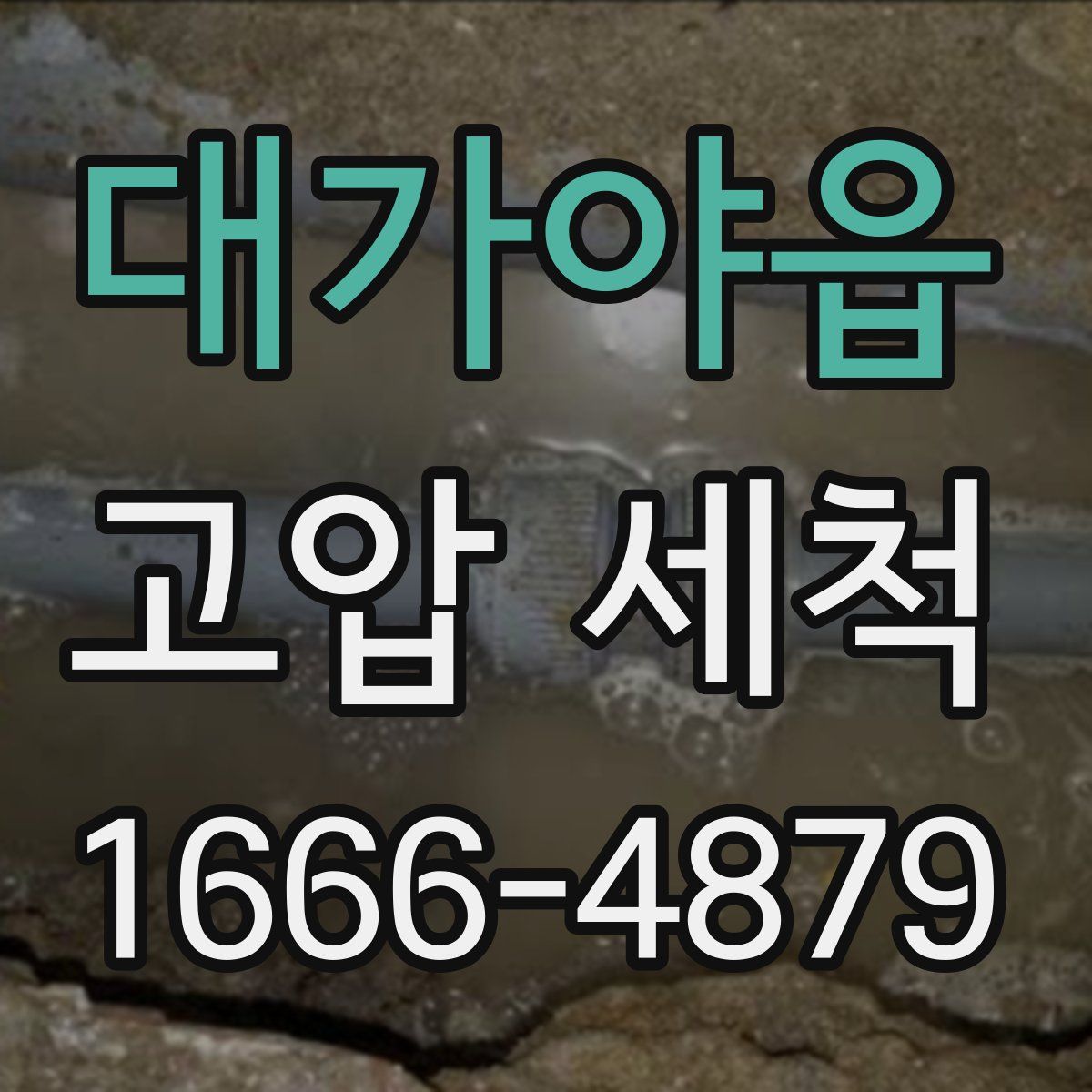 대가야읍 고압 세척