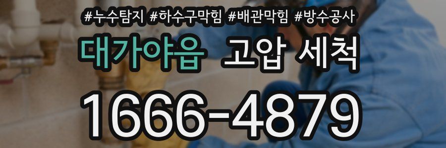 대가야읍 고압 세척