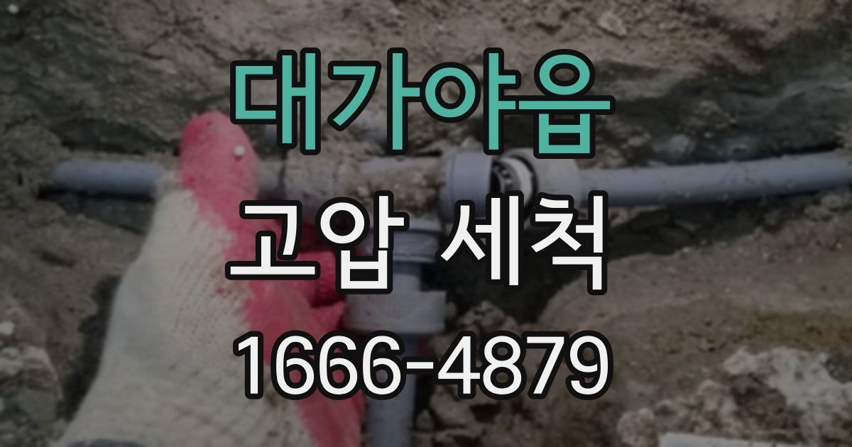 대가야읍 고압 세척