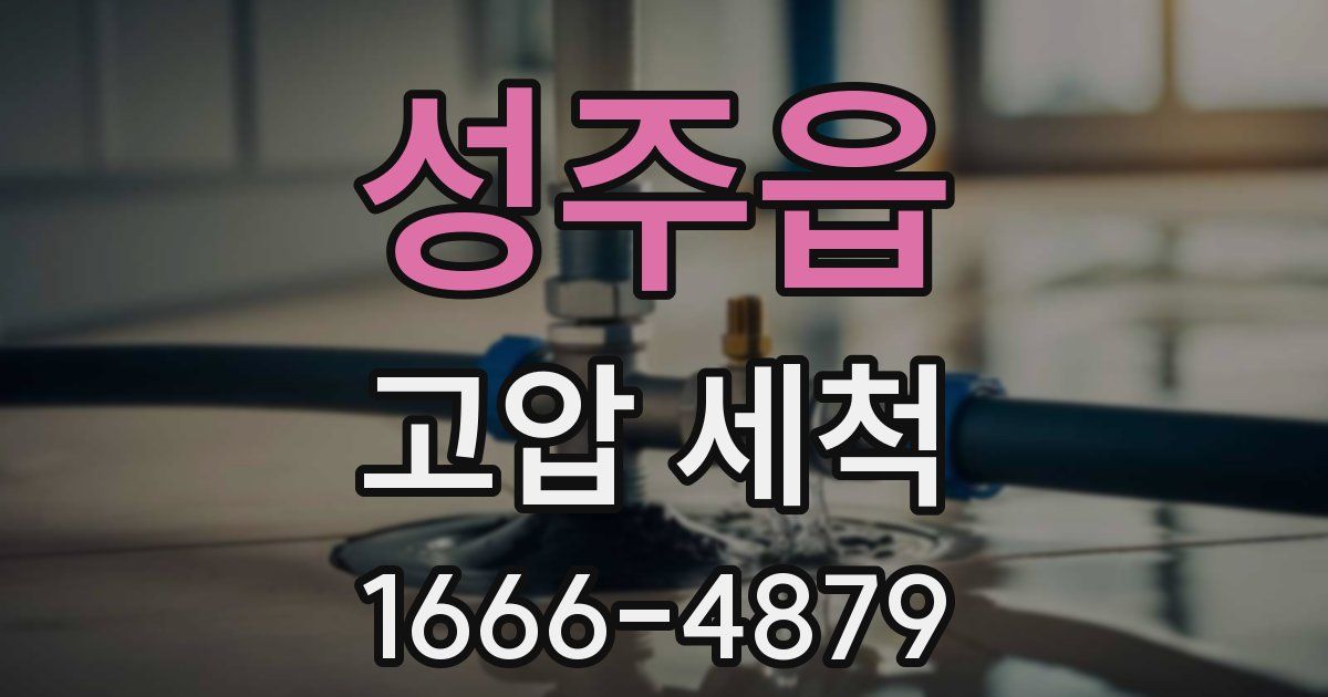 성주읍 고압 세척