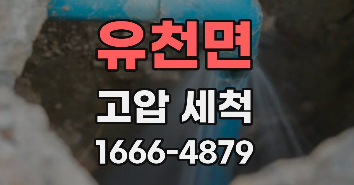 유천면 고압 세척