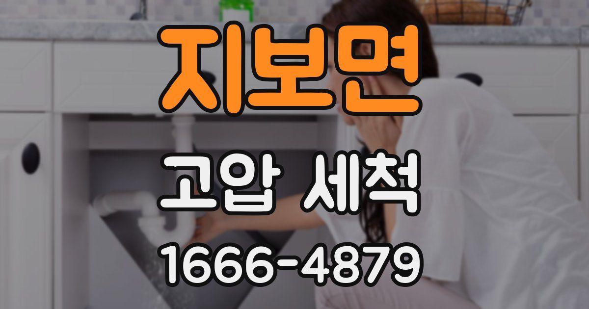 지보면 고압 세척