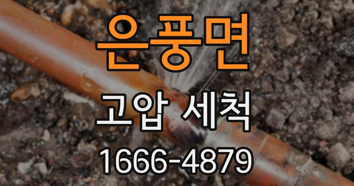 은풍면 고압 세척