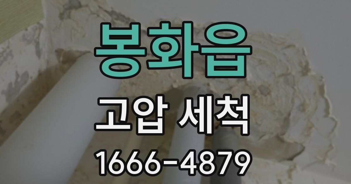 봉화읍 고압 세척