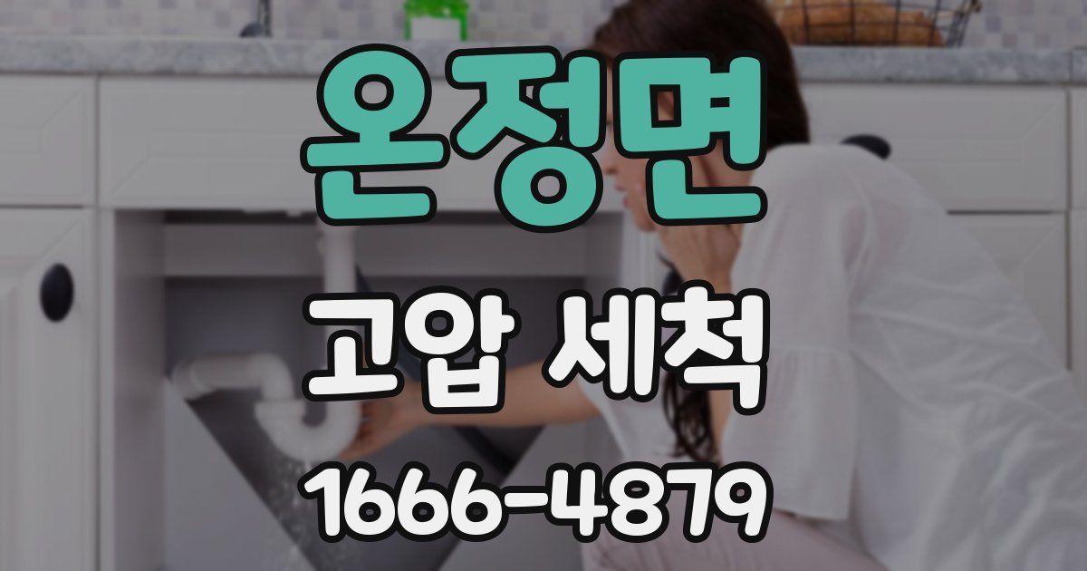 온정면 고압 세척
