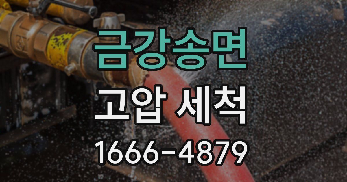 금강송면 고압 세척