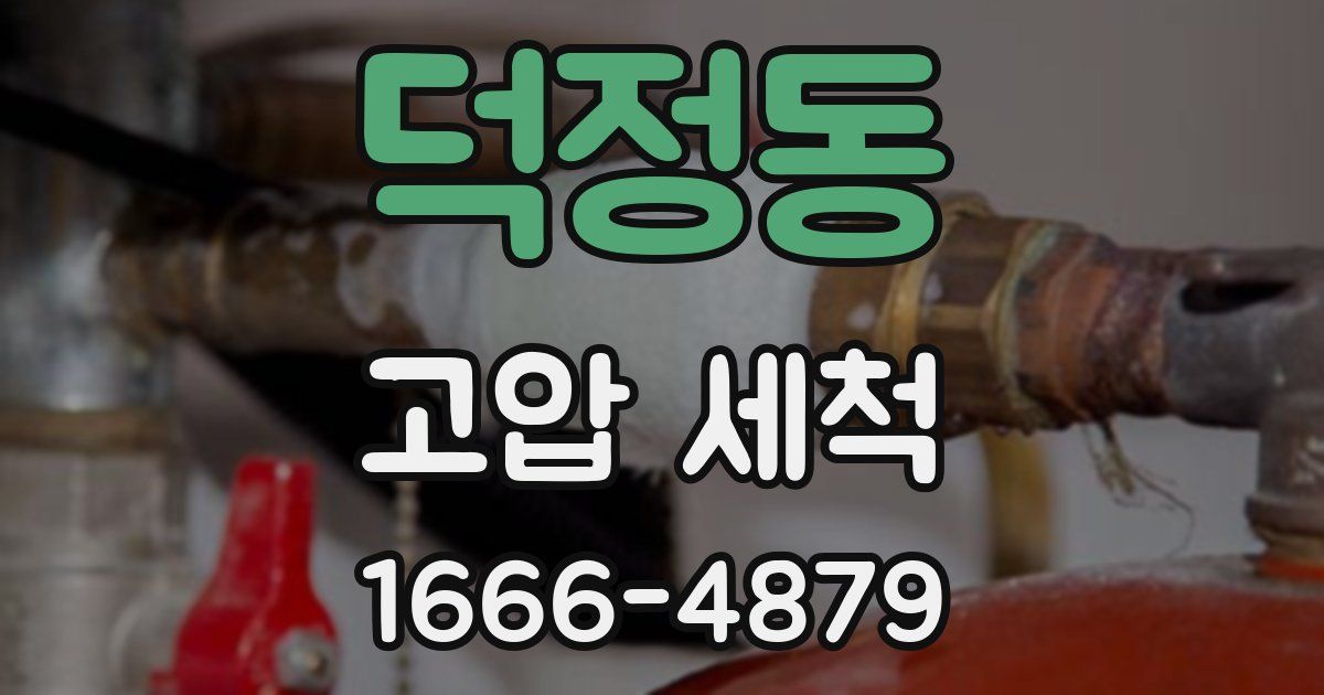 덕정동 고압 세척