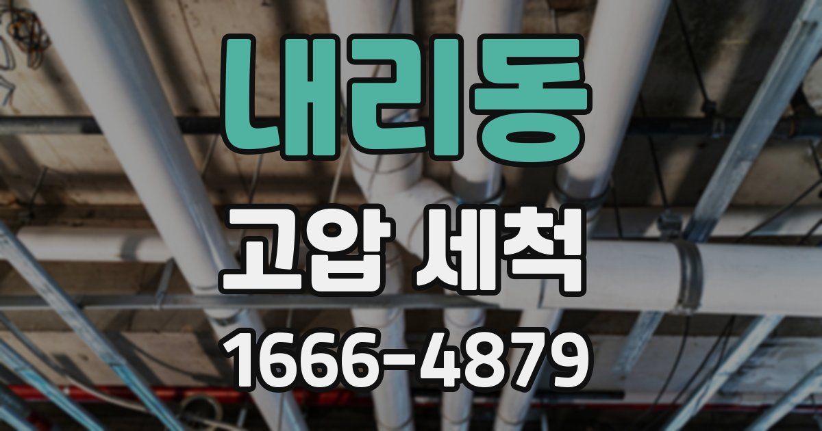 내리동 고압 세척