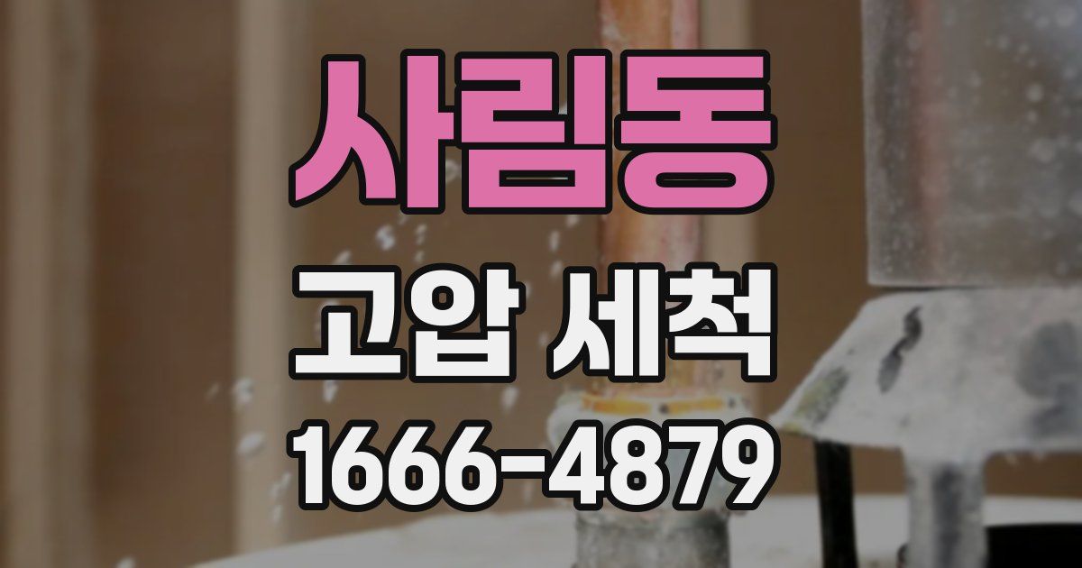 사림동 고압 세척