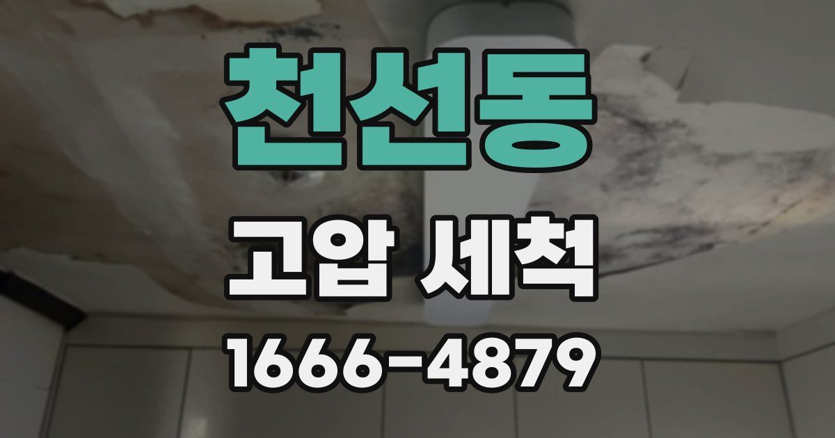 천선동 고압 세척