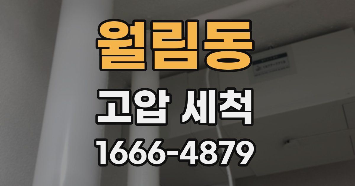 월림동 고압 세척