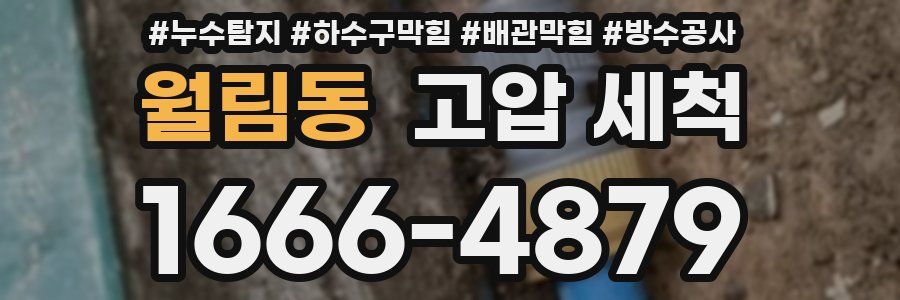 월림동 고압 세척
